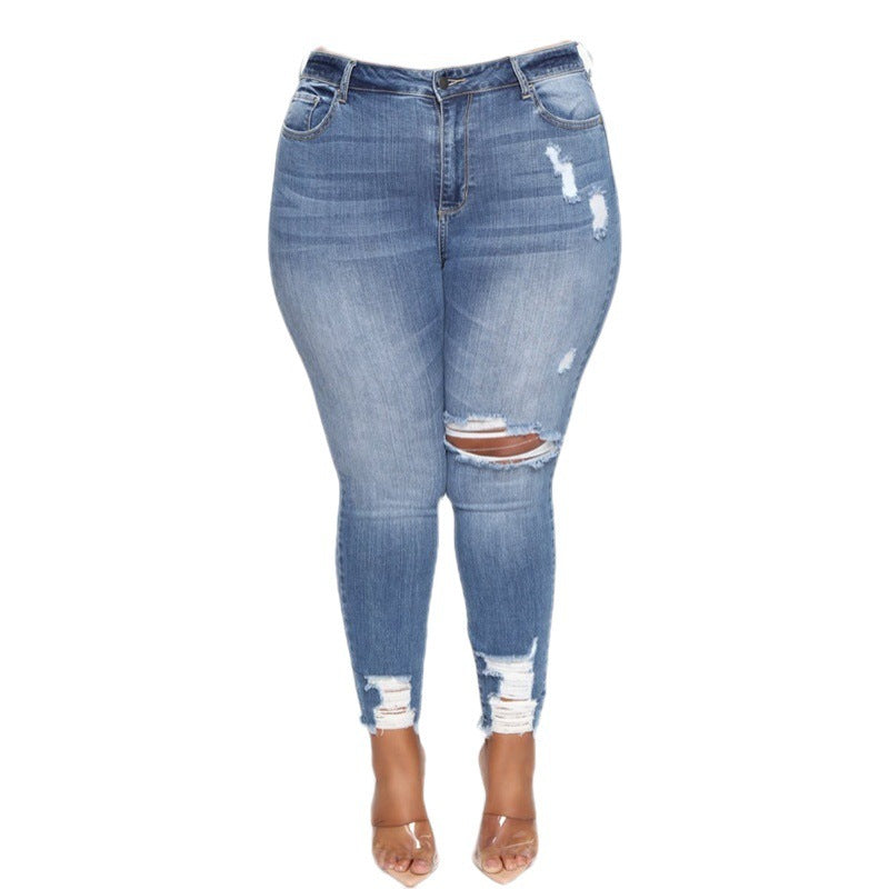 Women Clothes Ripped Plus Size Ladies Denim Pants JeansWomen’s Ripped Denim TrousersWomen’s Plus Size Boyfriend JeansTrendy Distressed Jeans WomenStretch Ripped Jeans for WomenPlus Size Skinny Ripped JeansPlus Size Ripped Jeans WomenLadies Plus Size Denim PantsHigh Waist Plus Size JeansFashion Ladies Plus Size JeansCurvy Fit Distressed JeansCasual Plus Size Denim PantsBlue Ripped Plus Size Jeans